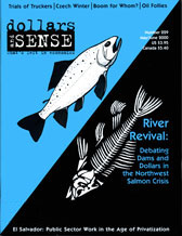 cover of issue 229