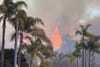 The Burning of (Parts of) Los Angeles