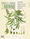 Issue 311: March/April 2014